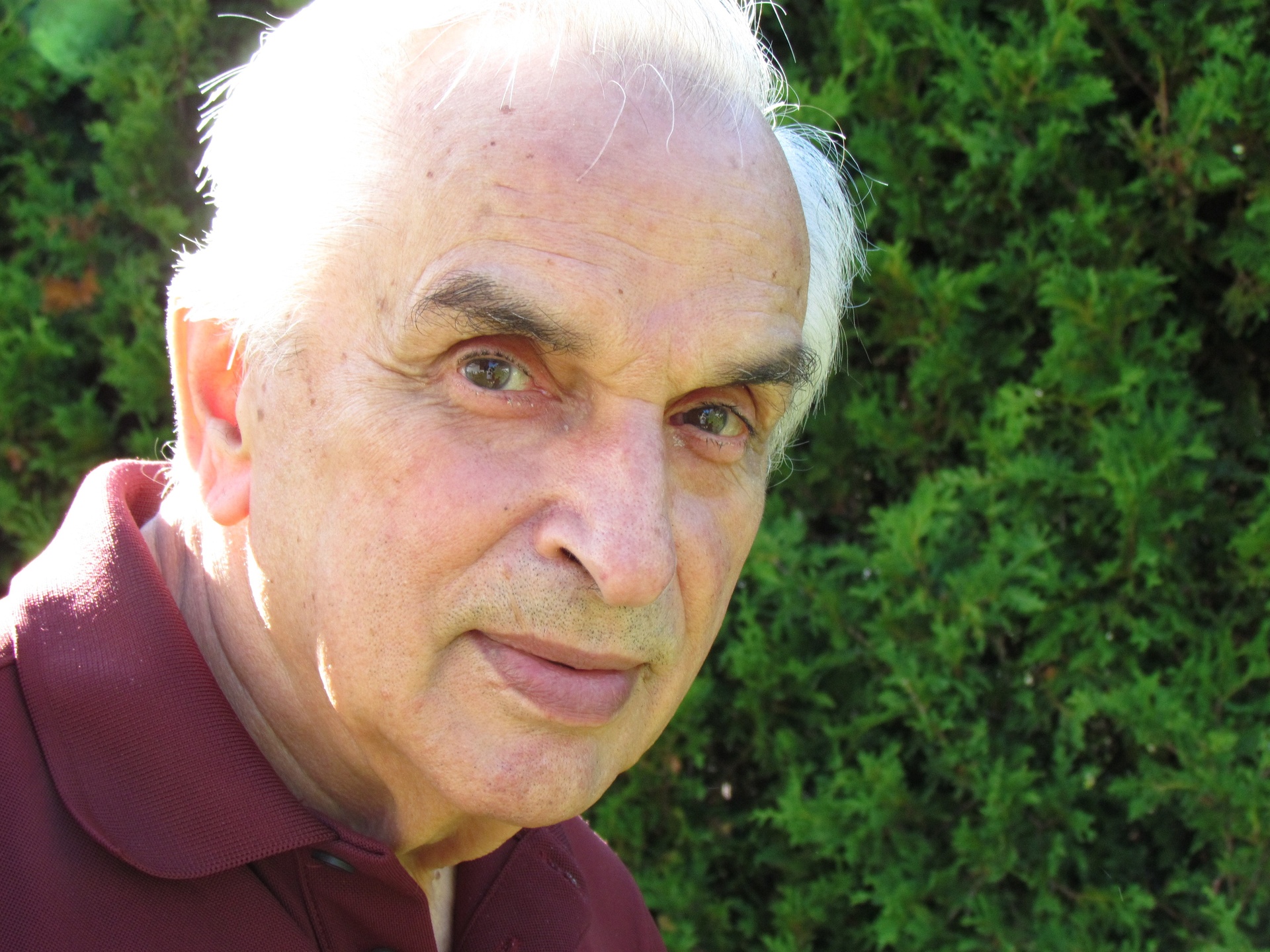 Gaston Côté