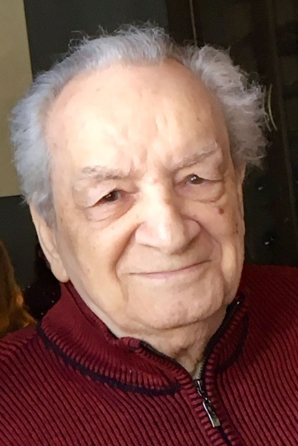Maurice Ferland