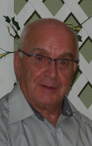 Bertrand Bégin