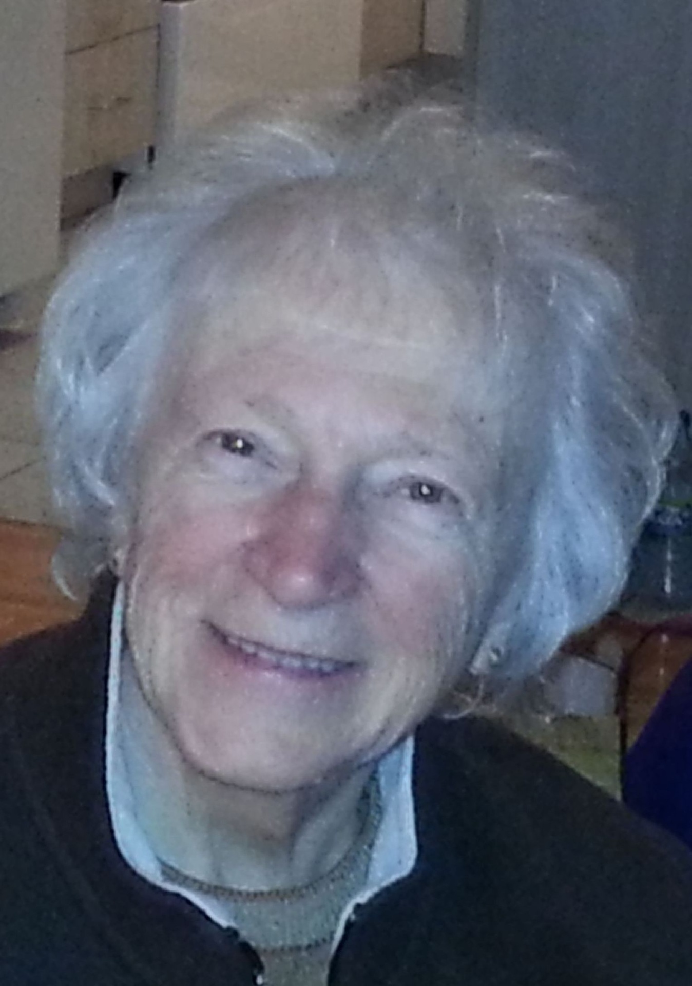 Aline Moisan Falardeau