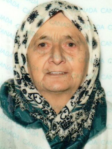 Hadzija Handan