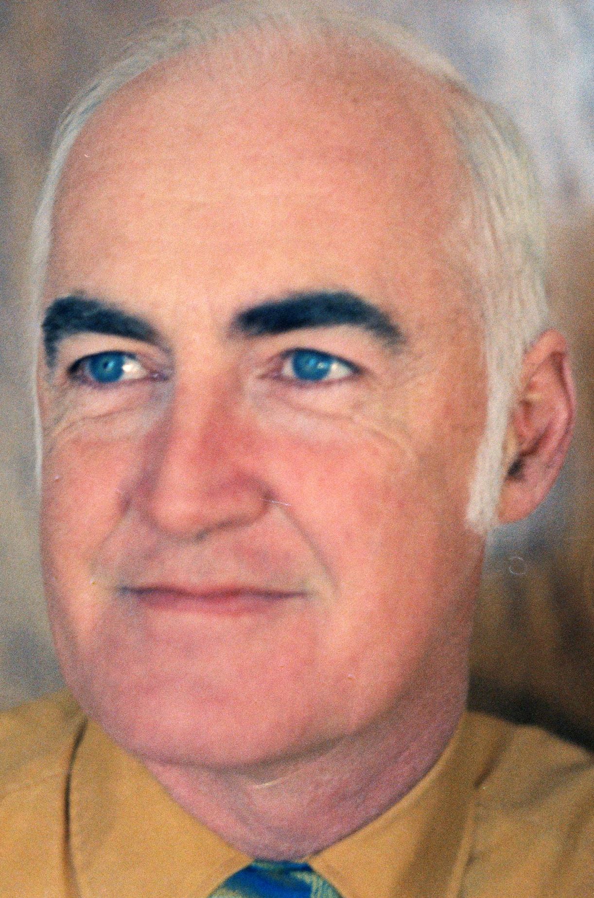 Henri-Aimé Roy