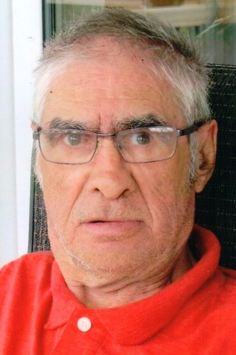 Michel Gagné