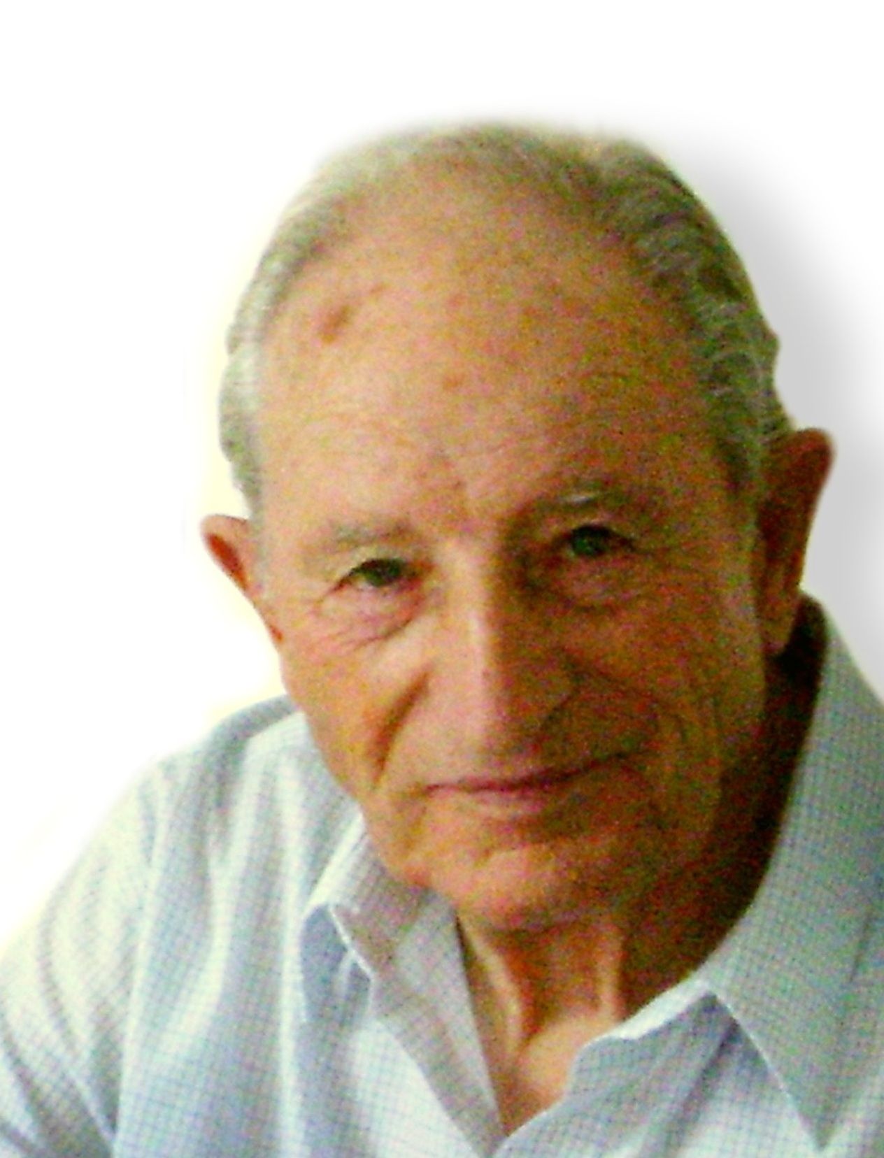 Guelfo Brogi