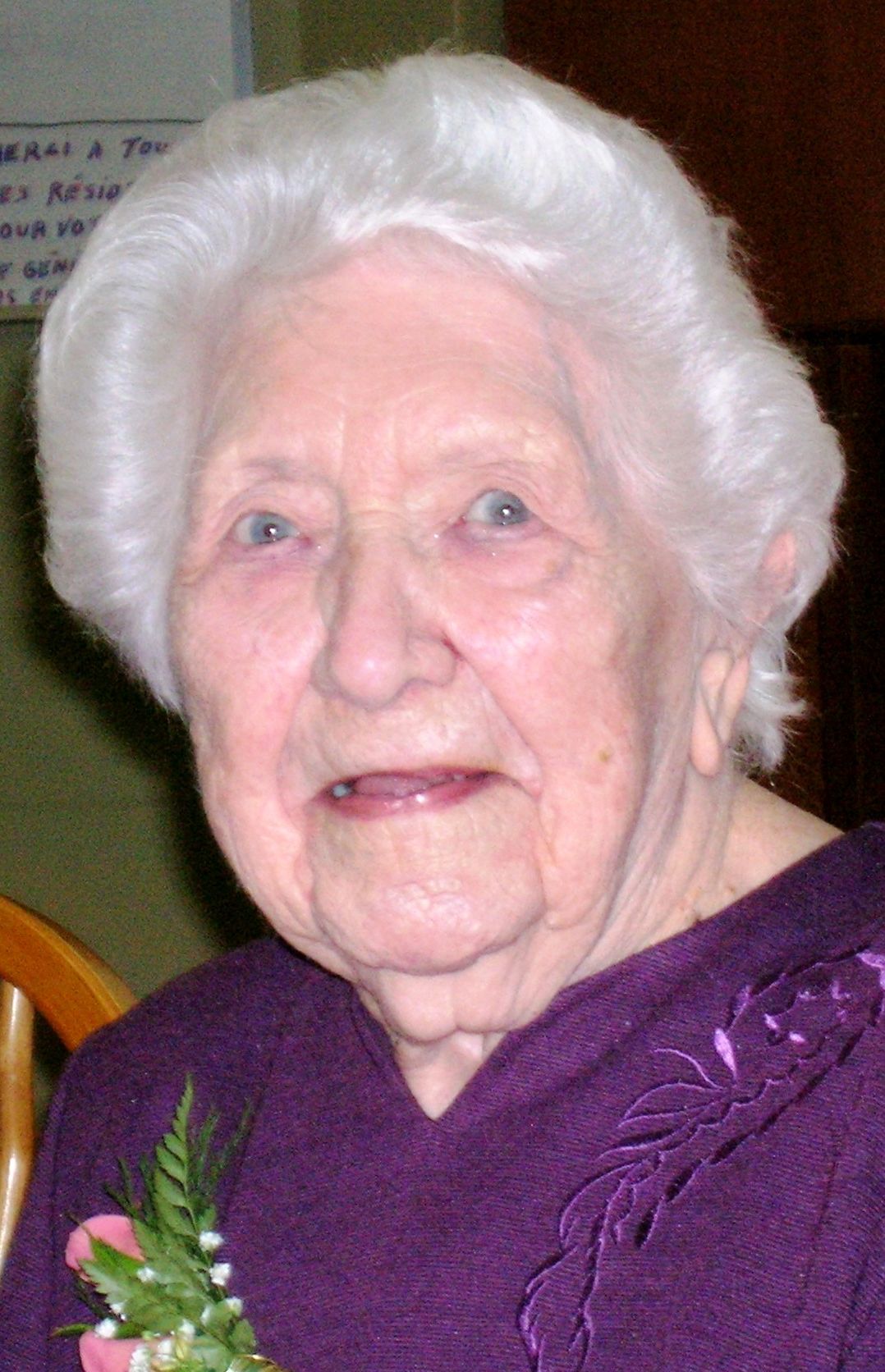 Alice Houle Trudel
