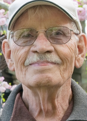 Louis Dufour