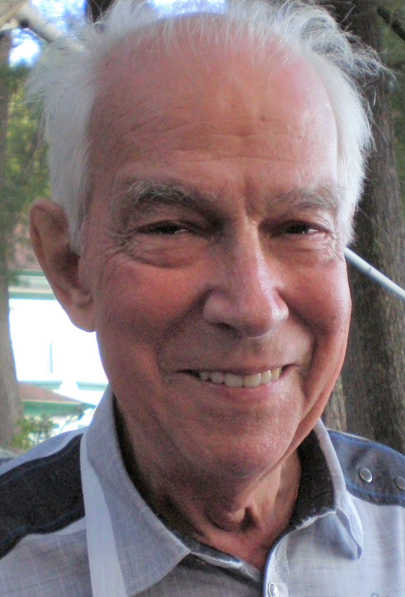 Luc Laroche