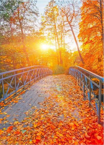 Nina Fecteau Lafrance