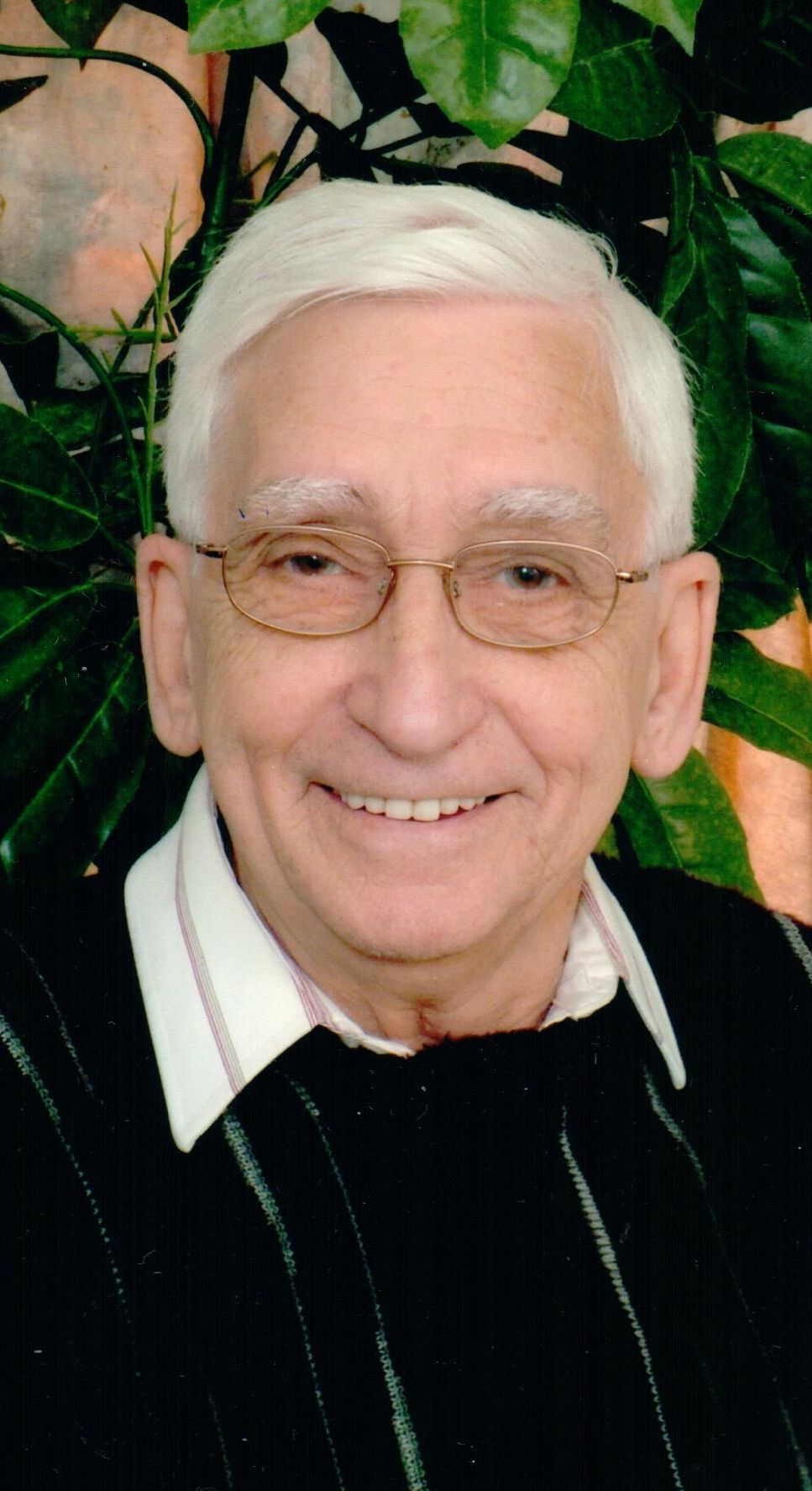 Yvon Robitaille