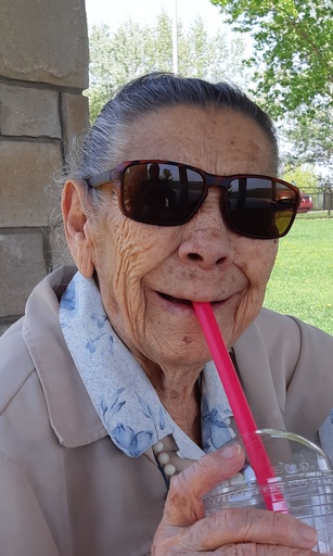 Dina-Mercedes Montenegro