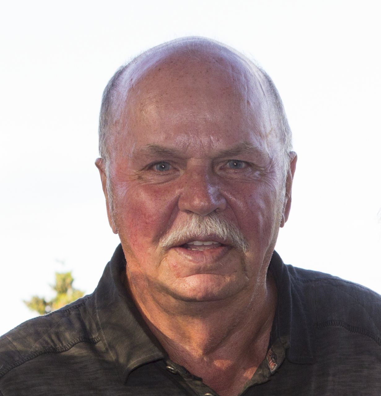 Gilles Roy